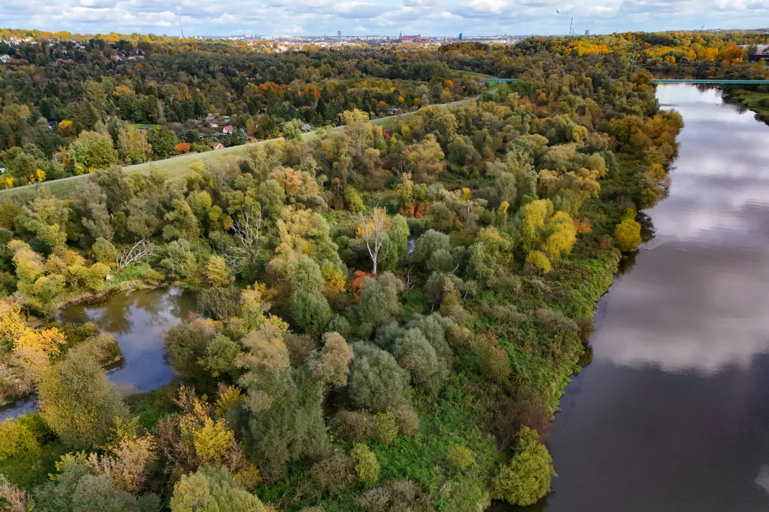 Las Łęgowy na Zwierzyńcu im. Kazimierza Walasza